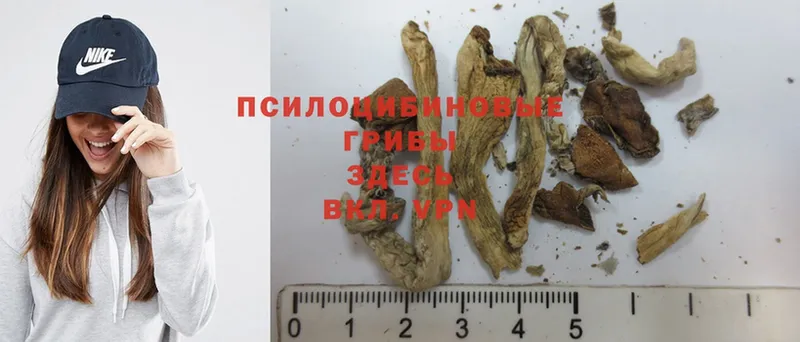 Псилоцибиновые грибы MAGIC MUSHROOMS Челябинск